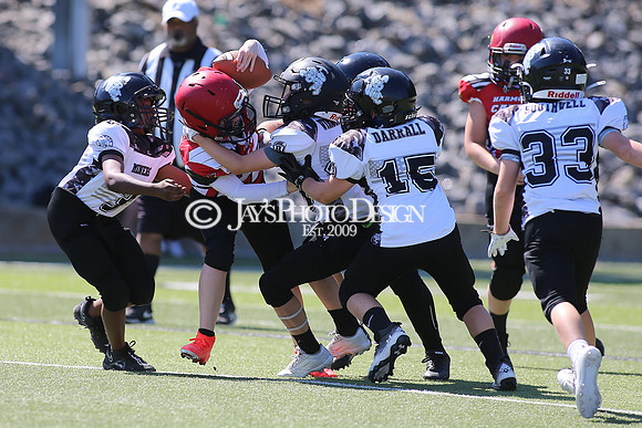Harmony Grove @ Bauxite peewee football 9-16-23_JWM_0285