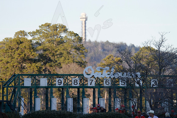 Oaklawn 1-21-13 (Smarty Jones Stakes) (Justin Manning)0152