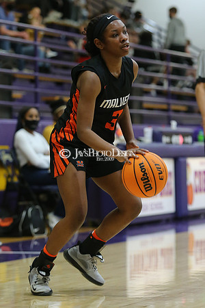 Malvern @ Fountain Lake 1-26-21_JWM_0406