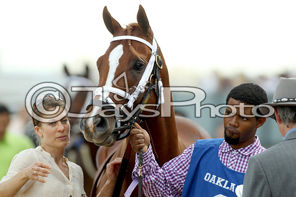 JWM_170318_RebelStakes_00595