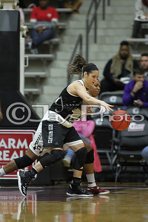 Arkansas State @ Little Rock Women's Basketball 1-14-17_JWM_00514