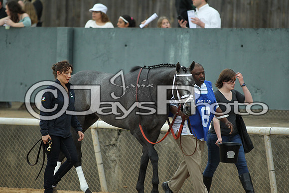 Southwest Stakes (GradeIII) 2-20-17_JWM00292