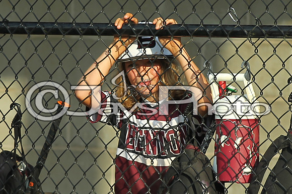 Benton vs. Clark County 6-24-16_JWM_0319