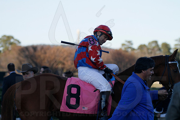 Oaklawn 1-21-13 (Smarty Jones Stakes) (Justin Manning)0143