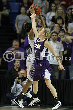 Riverview vs. Ozark 4A Girls State Finals 3-13-2015 (©Justin Manning) JWM_152