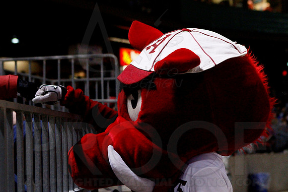 Miss Valley State @ Arkansas Baseball 3-27-13 (© Justin Manning) JWM0390
