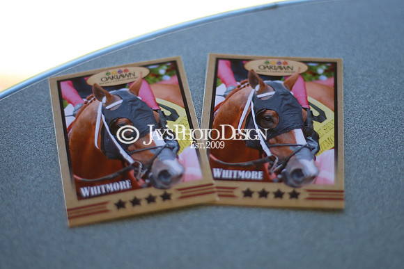 z220319_WhitmoreStakesday_Manning_0017