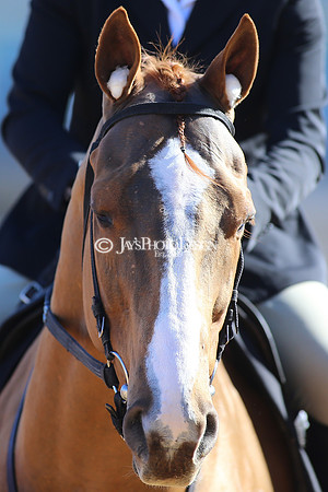 z220319_WhitmoreStakesday_Manning_0209