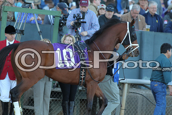 JWM_160215-southwest_0381
