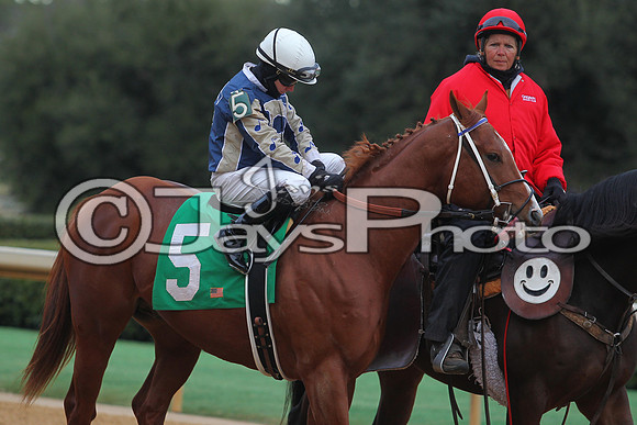 Oaklawn Smarty Jones Stakes 1-18-2016 (©Justin Manning) JWM_(0255
