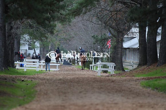 z250104_SmartyJonesStakesDay _JWM_0095