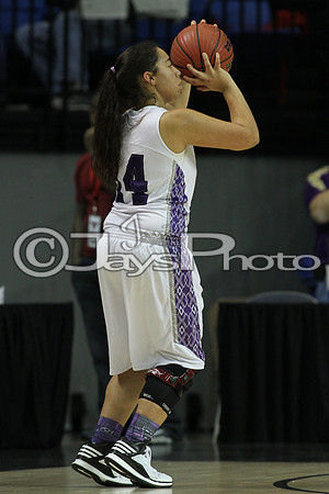 Riverview vs. Ozark 4A Girls State Finals 3-13-2015 (©Justin Manning) JWM_143