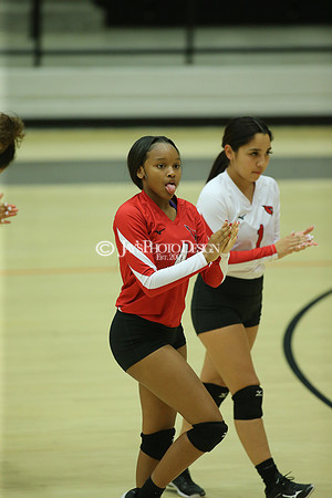 Camden Fairview @ Malvern JV_JWM_0333