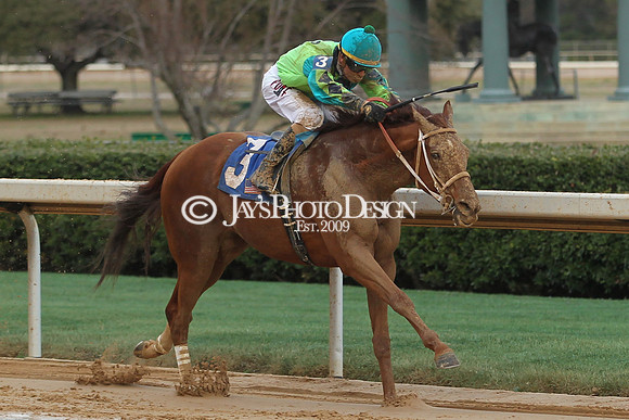 JWM 180219_Southwest_0169