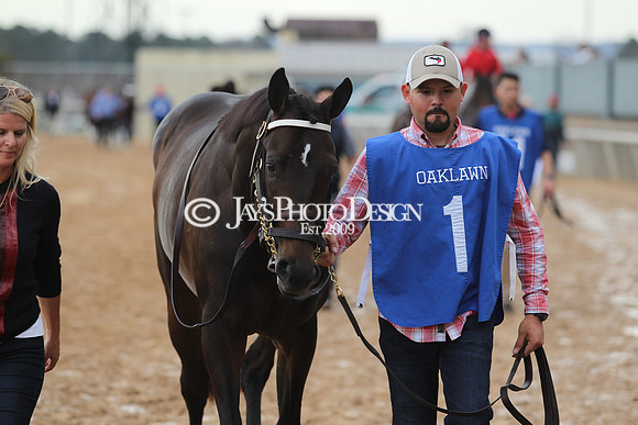 JWM 180219_Southwest_0332