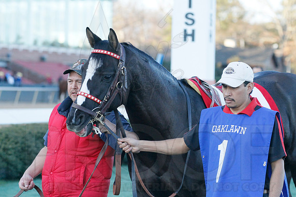 Oaklawn 1-21-13 (Smarty Jones Stakes) (Justin Manning)0100