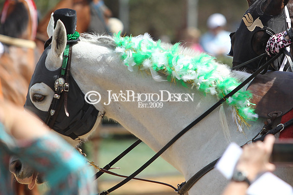 JWM 180317_RebelStakes__0008
