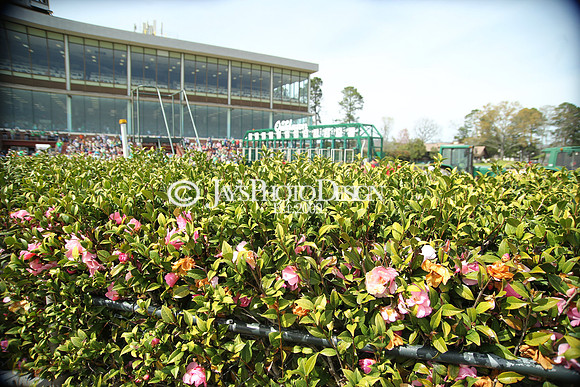 JWM 180317_RebelStakes__0014