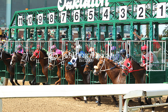 JWM 180317_RebelStakes__0017