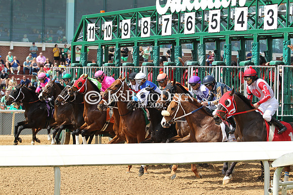 JWM 180317_RebelStakes__0019