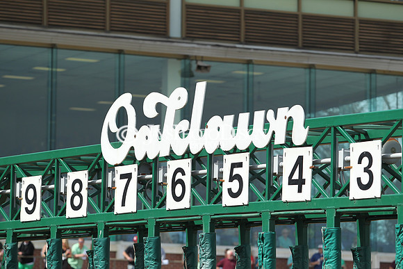 JWM 180317_RebelStakes__0025