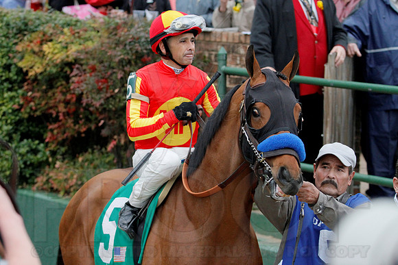 Rebel Stakes 3-15-14 3-15-2014 (© Justin Manning) JWM_0043