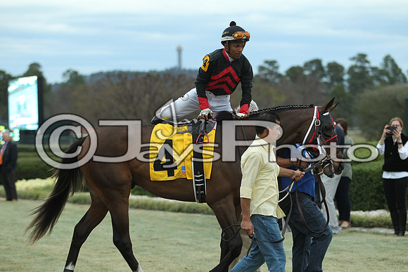 Southwest Stakes (GradeIII) 2-20-17_JWM00694