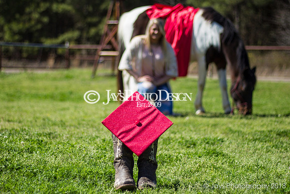 Destiny Houk senior photos 4-4-18_0028
