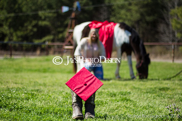 Destiny Houk senior photos 4-4-18_0030