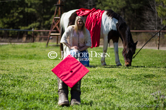Destiny Houk senior photos 4-4-18_0031