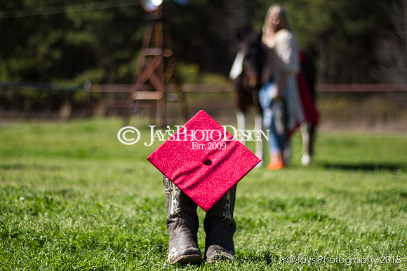 Destiny Houk senior photos 4-4-18_0033