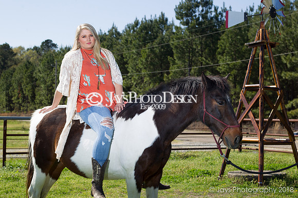 Destiny Houk senior photos 4-4-18_0064