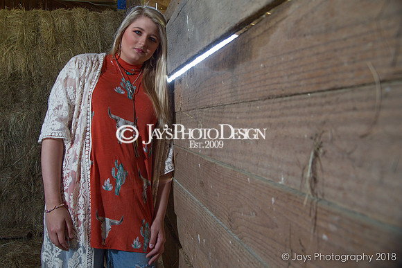 Destiny Houk senior photos 4-4-18_0075
