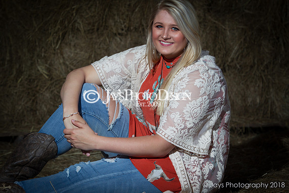 Destiny Houk senior photos 4-4-18_0086