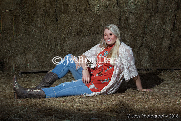 Destiny Houk senior photos 4-4-18_0087