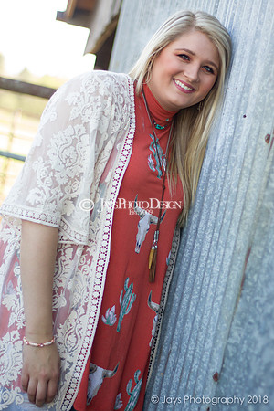 Destiny Houk senior photos 4-4-18_0106