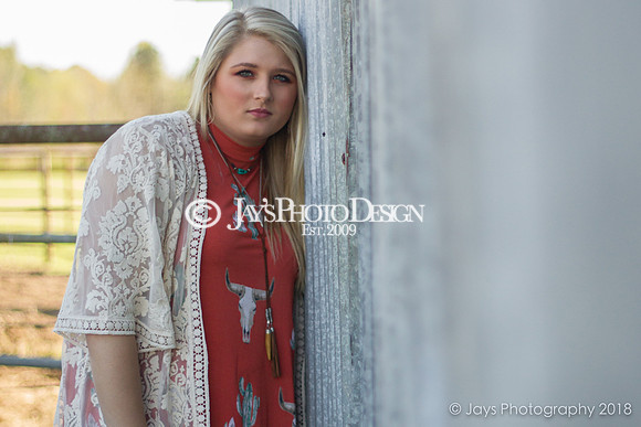 Destiny Houk senior photos 4-4-18_0107