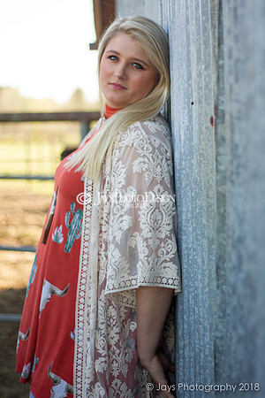 Destiny Houk senior photos 4-4-18_0109