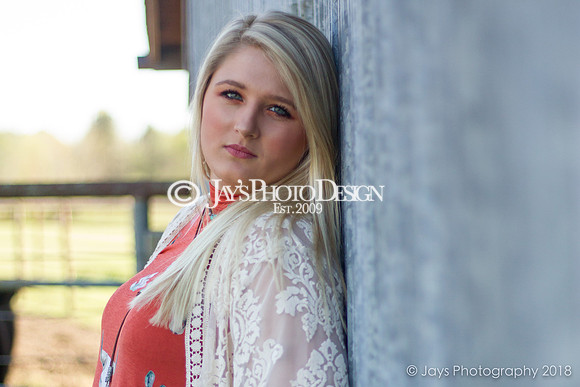 Destiny Houk senior photos 4-4-18_0117