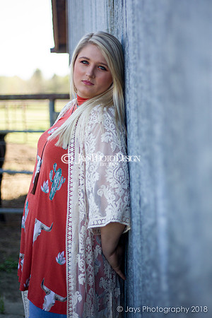 Destiny Houk senior photos 4-4-18_0118