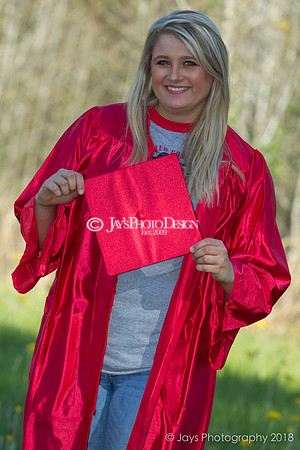 Destiny Houk senior photos 4-4-18_0168