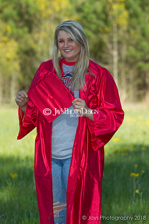 Destiny Houk senior photos 4-4-18_0169