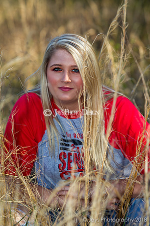 Destiny Houk senior photos 4-4-18_0177