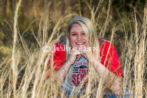 Destiny Houk senior photos 4-4-18_0181