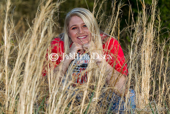 Destiny Houk senior photos 4-4-18_0182