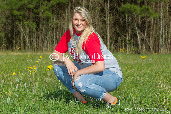 Destiny Houk senior photos 4-4-18_0198