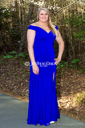 Destiny Houk senior photos 4-4-18_0212