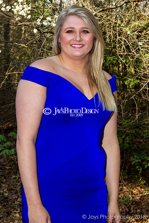 Destiny Houk senior photos 4-4-18_0214