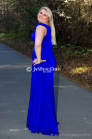 Destiny Houk senior photos 4-4-18_0219
