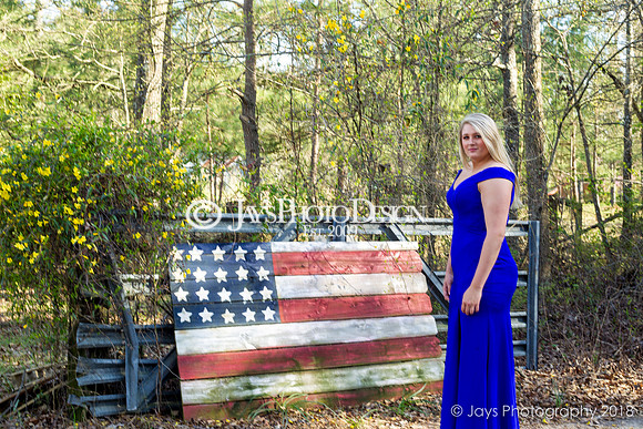 Destiny Houk senior photos 4-4-18_0221